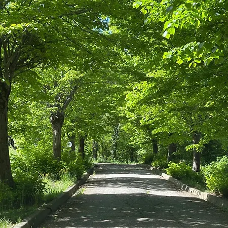 La Pisana Relais Di Campagna Torreglia