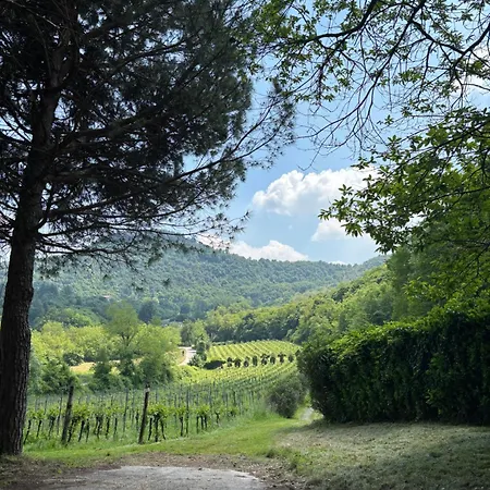 Gasthof La Pisana Relais Di Campagna Torreglia